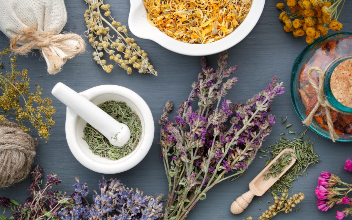 Heilkräuter | Natürliche Hilfe | MEIN TAG